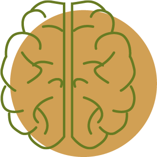 brain
