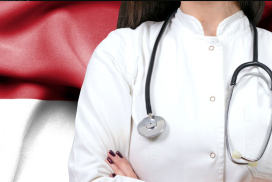 medicoholandes